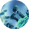 Infectious Disease